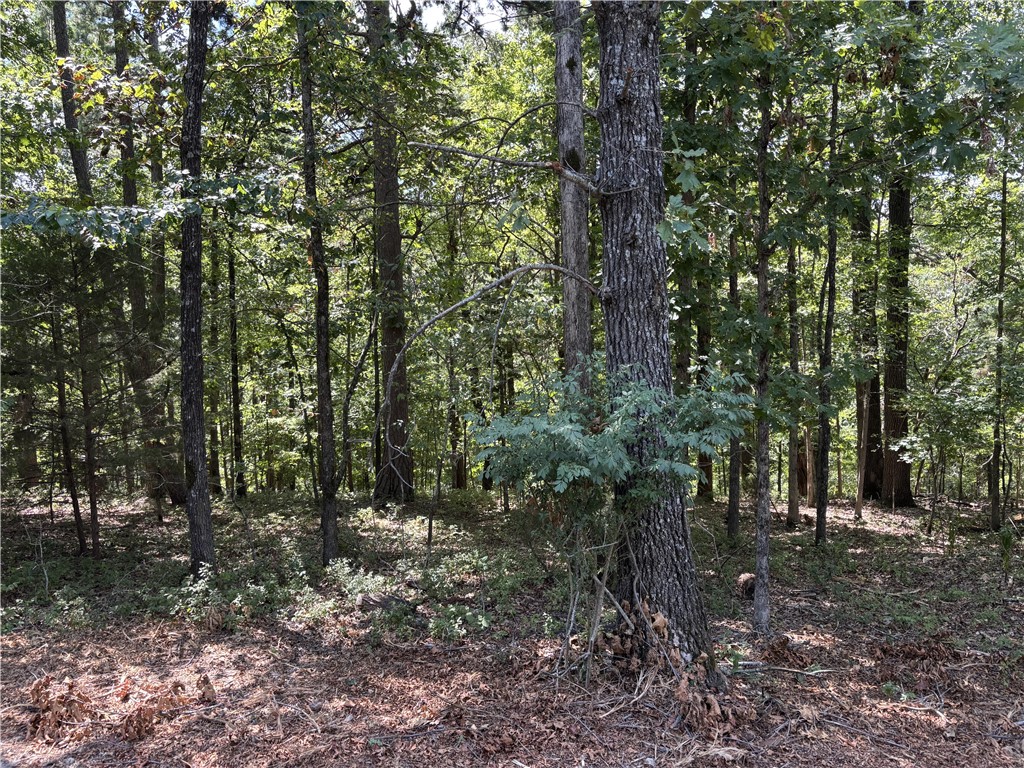 This property offers you access to one of Bella Vista's many popular trails! Located in the sought-after Bella Vista area. This lot is nestled in a well-established neighborhood along a paved road. It is zoned for Bentonville Schools. Perfect for the outdoor family with access to Lake Ann and Lake Norwood, Lake as well as FloRide, the back of 40 Loop. GoRide and Sip Town, with SBAT and the historic Taylor Homestead just minutes away. You dont want to miss this opportunity. It won't last long.