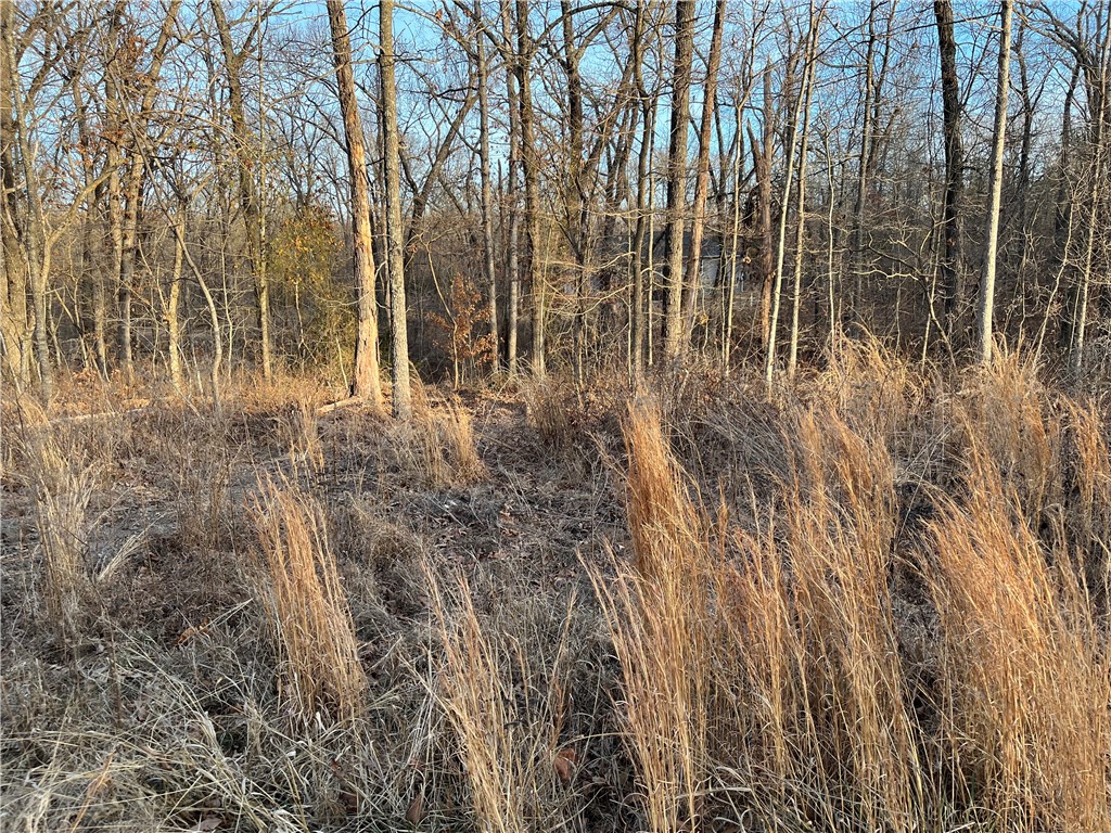 Kirkoswald Sub Bvv - Land