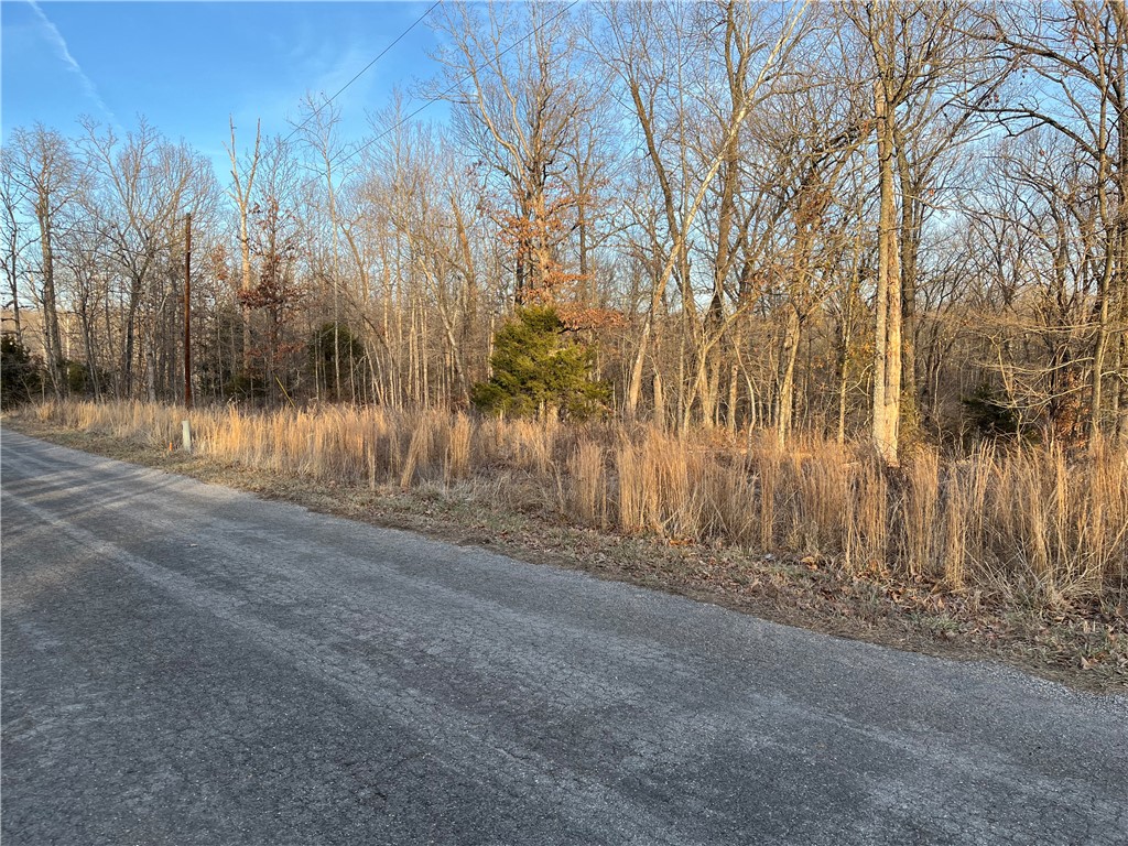 Sold before Print
A .29-acre lot, gently sloping, Gravette School District, paved road, cul-de-sac, near Branchwood Recreation Center, perc. test available, Enjoy the Amenities of Bella Vista! POA Lot Monthly Fee $16 - allows access to (7) Lakes, (6) Golf Courses, (2) outdoor swimming Pools, (1) indoor swimming Pool, (3) Workout Centers, Tennis Courses, Disc Golf, Gun Range, Golf Driving Range, Walking Trails, 100+ Miles of Mountain Biking Trails, (1) Sandy Beach, Pro Golf Shops, Fishing Docks, and much more.