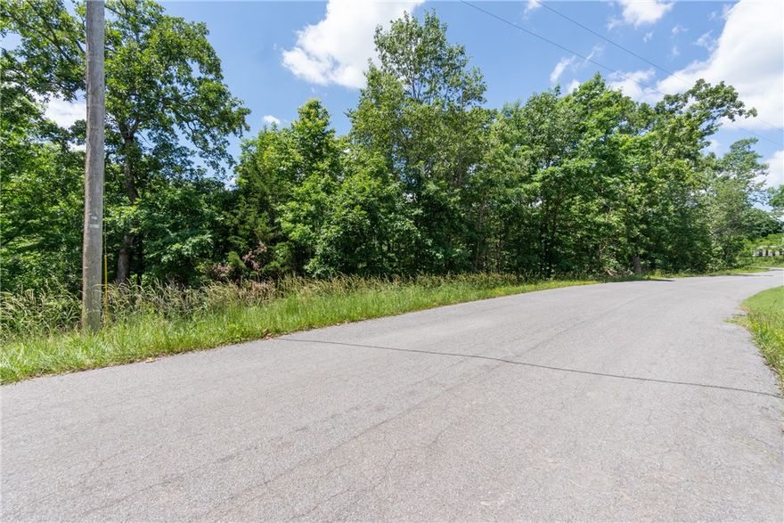 Buildable .31 acre lot. Enjoy all the amenities Bella Vista has to offer. Back 40 trail nearby for the bike enthusiasts.