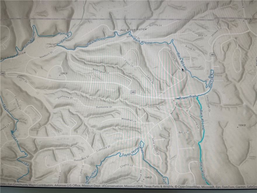 Bike On/Off Back 40 Loop!  Tower Trail is ~ 600 feet away.  ~1.5 miles from SBAT-Back 40 Loop Trailhead! Bentonville schools.