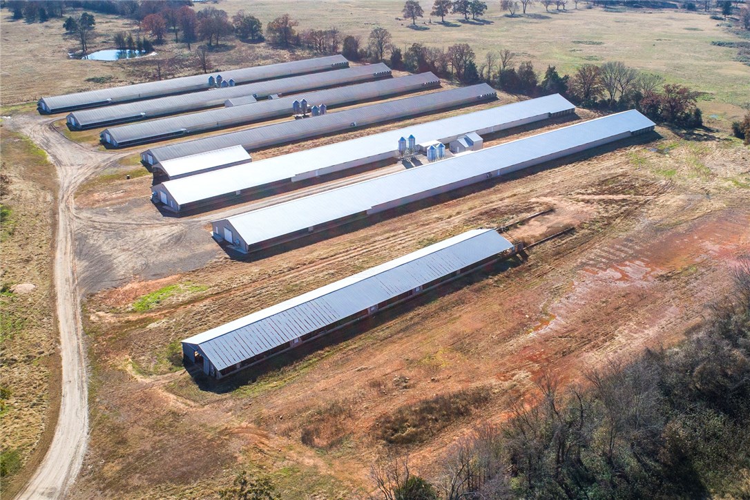 River Valley Farming - Farm