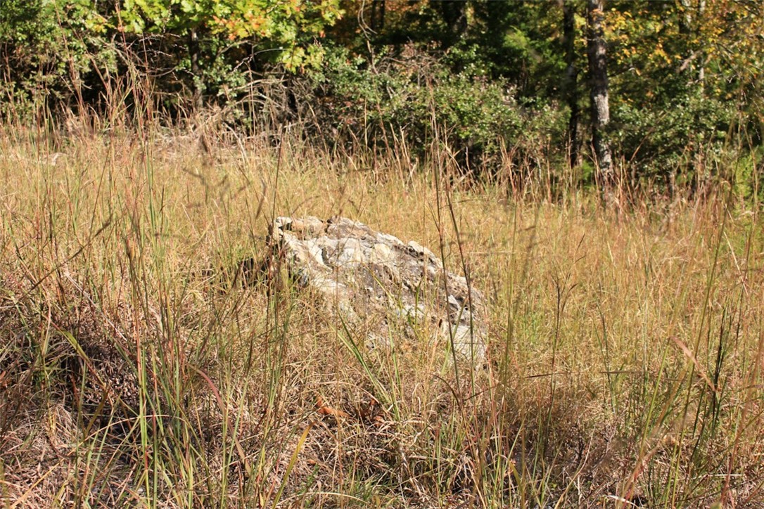 Woodlake Estates - Land