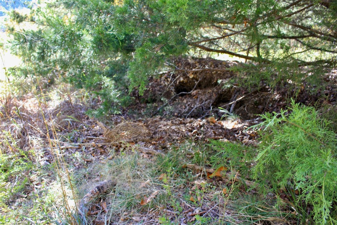 Woodlake Estates - Land