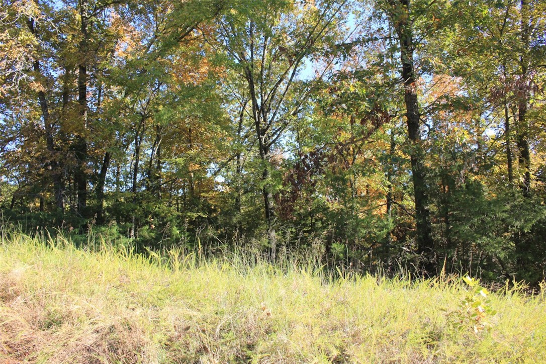 Woodlake Estates - Land