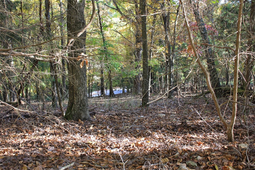 Woodlake Estates - Land