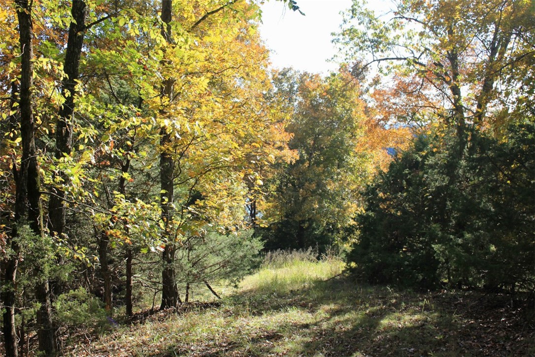 Woodlake Estates - Land