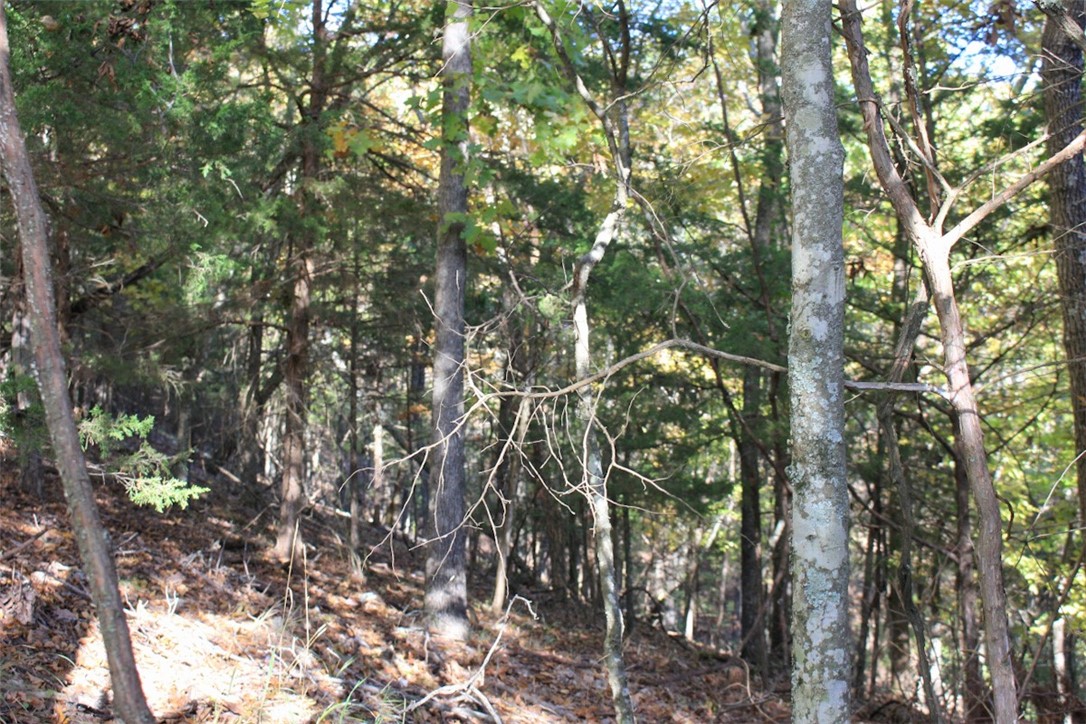 Woodlake Estates - Land