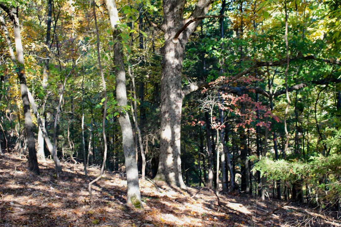 Woodlake Estates - Land