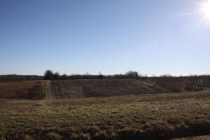 Great Building Site! or if you are looking for a place to set up a mobile/manufactured home. 980 feet drilled well with 10 HP Pump, Electric & Natural Gas available. No restrictions, Call Today. Fruit trees & harvest of fruit trees not included in the purchase of the property.
