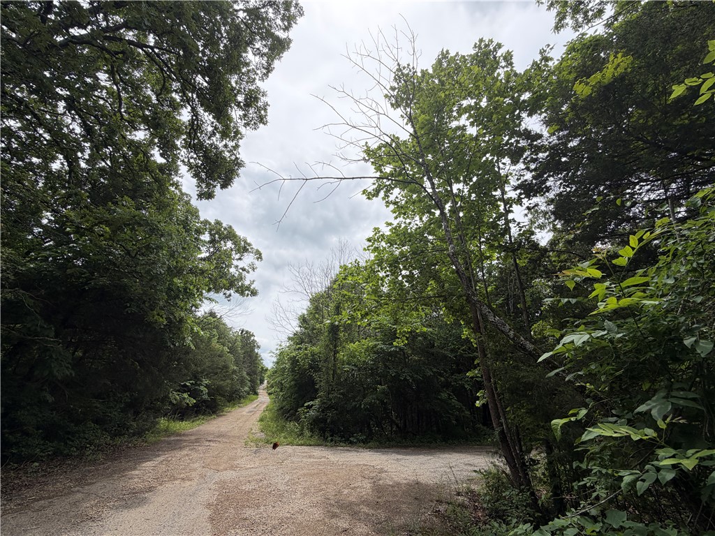 Horseshoe Bend Estates - Land