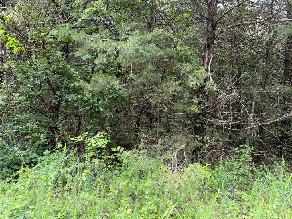Horseshoe Bend Estates - Land