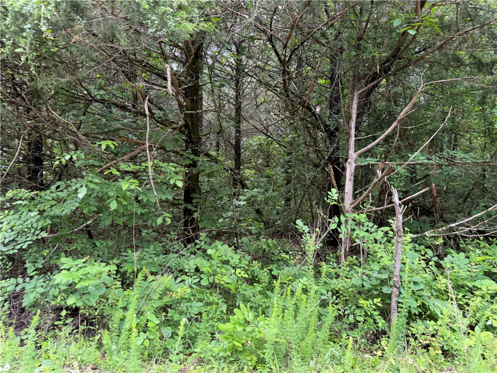 Horseshoe Bend Estates - Land