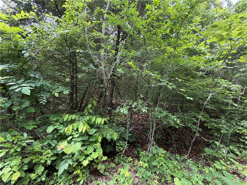 Horseshoe Bend Estates - Land