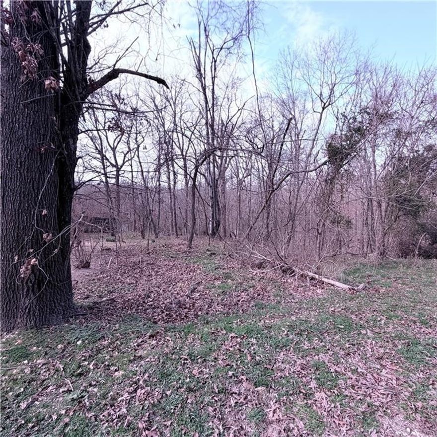 Location, Location, Location!!! Wooded building lot. Common area on one side and behind. 3 miles to the Gear Garden and Blowing Springs!