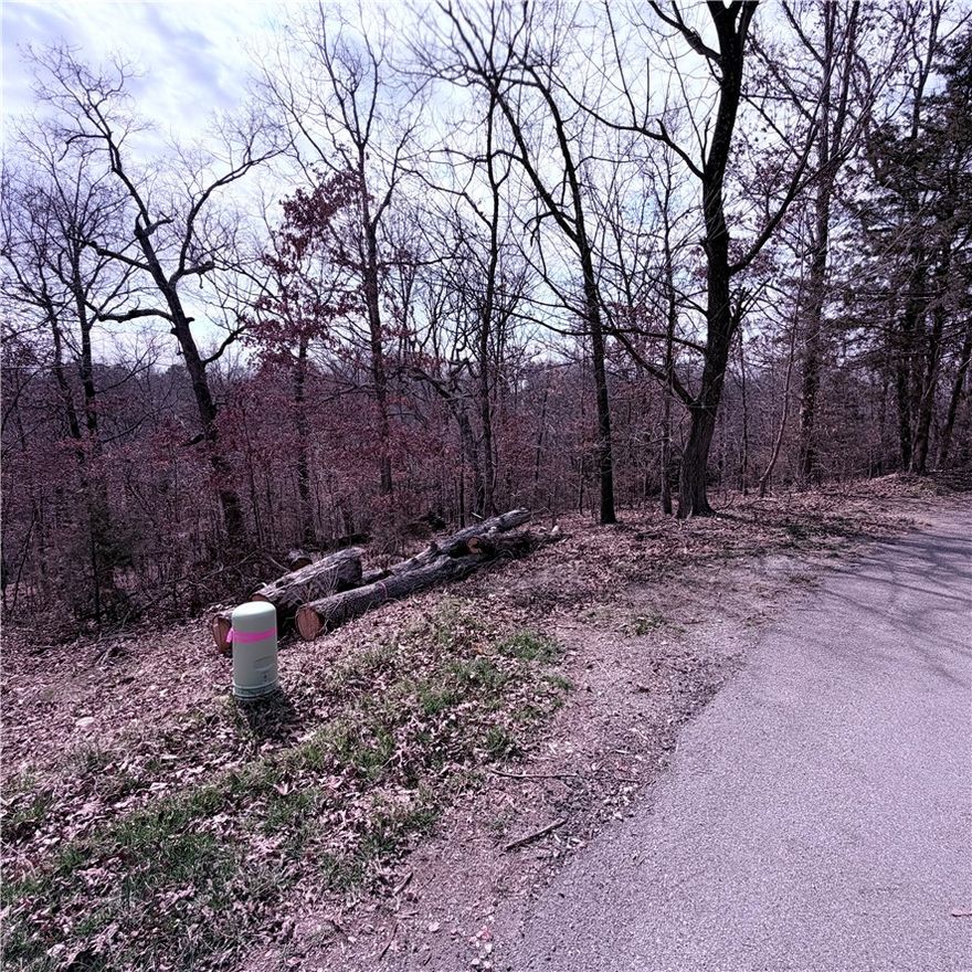 Location, Location, Location!!! Wooded building lot. Common area on one side and behind. 3 miles to the Gear Garden and Blowing Springs!