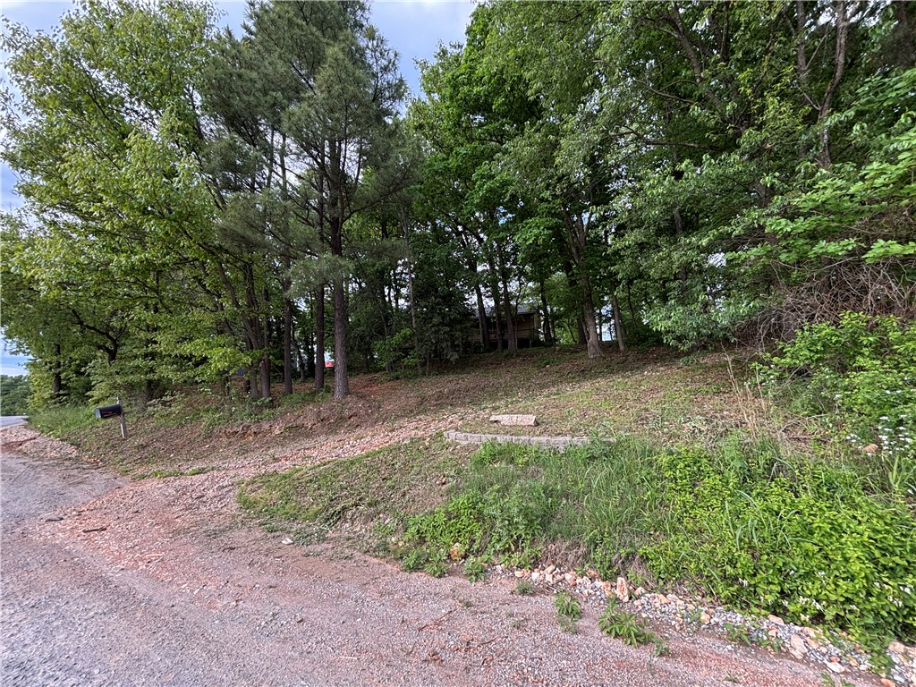 03-19-32-Rural - Residential