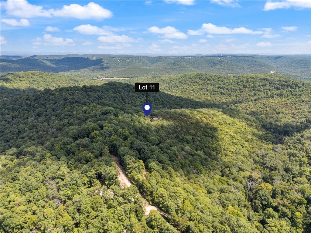 Secluded end of the road acreage located just a couple miles from the new Opera of the Ozarks. Downtown Eureka Springs, White River trout fishing and fun on Beaver and Table Rock Lakes are just minutes away.
