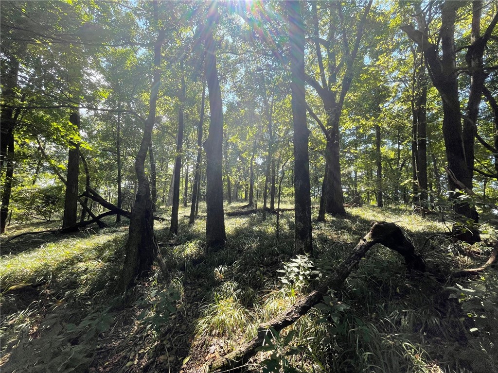 Wolfridge Estates - Land