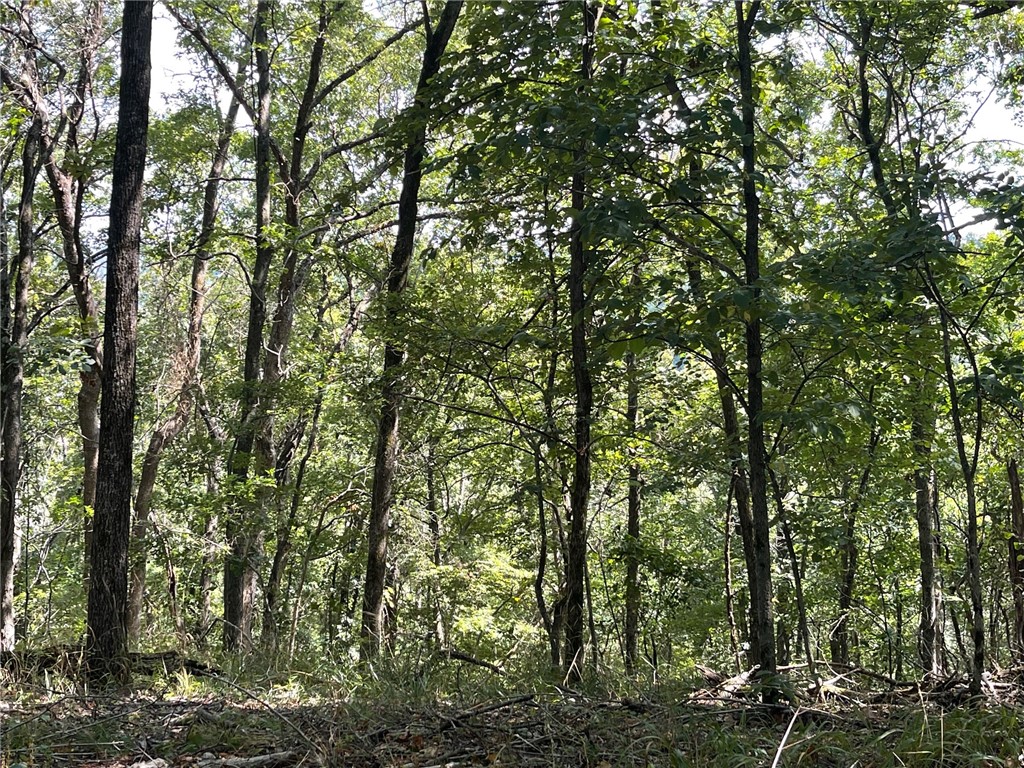 Wolfridge Estates - Land