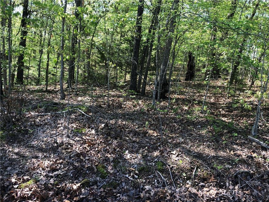 Excellent over 1/3 of an acre buildable lot in area of 3-bedroom single story homes. Front 75'(+/-) is nearly flat for building, rear drops off steeply.