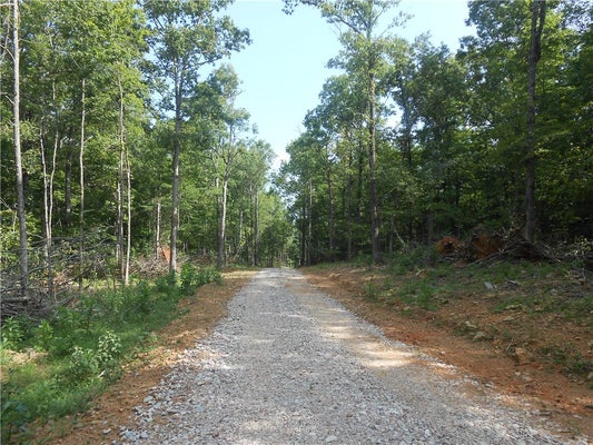 148 MADISON ST 4275, HINDSVILLE, AR 72738 - Image 4da63db846fea2f180d1ede0ffafa18f/37154521