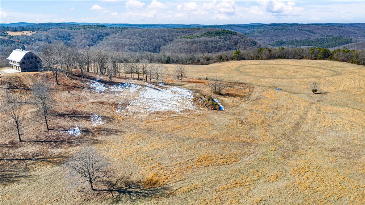 This is a once in a lifetime opportunity! The Snowlick Mountain Ranch includes 317.78 Acres and Panoramic views for miles. With roughly 100 Acres of manicured fields, 4 ponds and the remaining prime hunting ground with napier creek running along the southern border. This tract was previously a high fence ranch with miles of 8 foot fence still remaining. The Brand New Custom built (Timber Frame) Cabin is like something you'll only see from a magazine. Every Log, board and Peg that built this Cabin was harvested from this property, it's so incredible to see the craftsmanship and perfection that went into this build. The Cabin is 5,600 Sqft Heated and Cooled with the garage area included. Upstairs in the main living area is 2,800 Sqft 2 Bedrooms and 3 Full bathrooms. THIS WILL NOT LAST LONG!