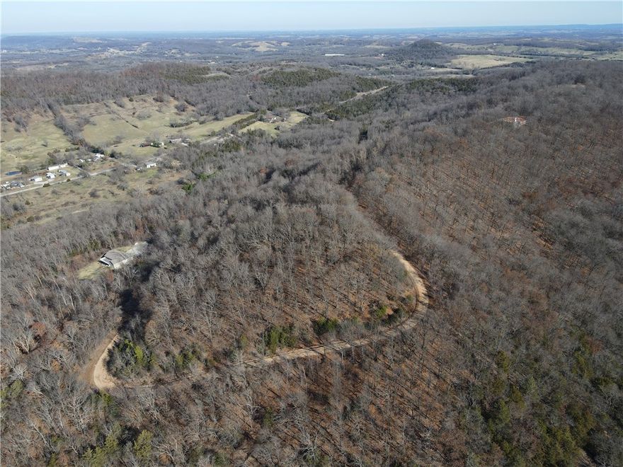 This 45 acre property offers endless possibilities for recreation, development, or your dream family compound. Featuring scenic views and abundant wildlife, this tract is a haven for outdoor enthusiasts and nature lovers. A wet weather stream winds through the lower portion, adding to its beauty and charm. With electricity and fiber optic on site, modern conveniences are already in place, making the property ready for your vision. You’ll find multiple build sites, many with amazing views, perfect for creating a private retreat or family estate. Gorgeous rock formations scattered throughout add unique character. Access with excellent road frontage and interior network. Plus, the prime location puts you under five minutes from Berryville city limits, and within easy reach of other local attractions. Whether you are looking to build, hunt, invest, or simply enjoy the peace and tranquility of the Ozarks, this versatile property offers the perfect balance of natural beauty, convenience, and future potential.