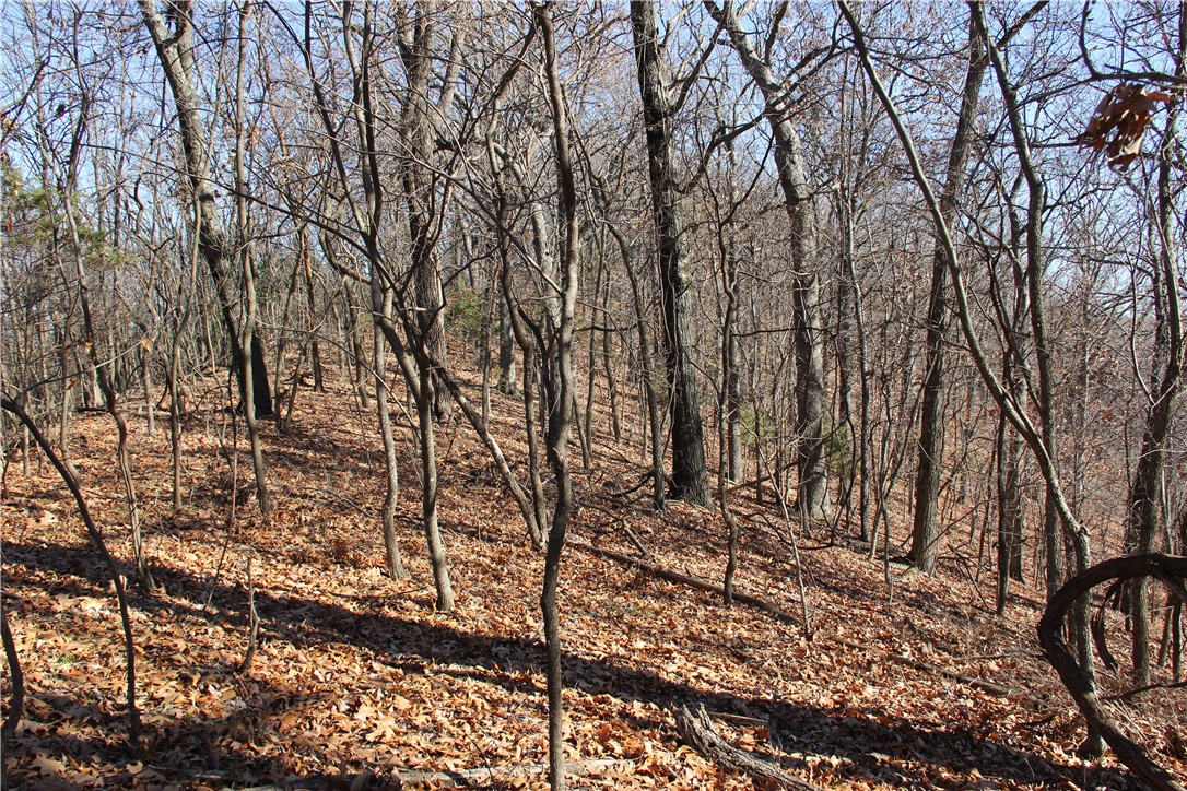 Cisco Hills - Land