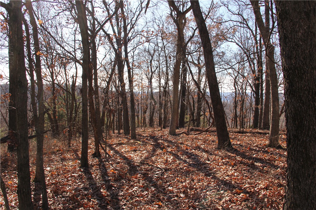 Cisco Hills - Land