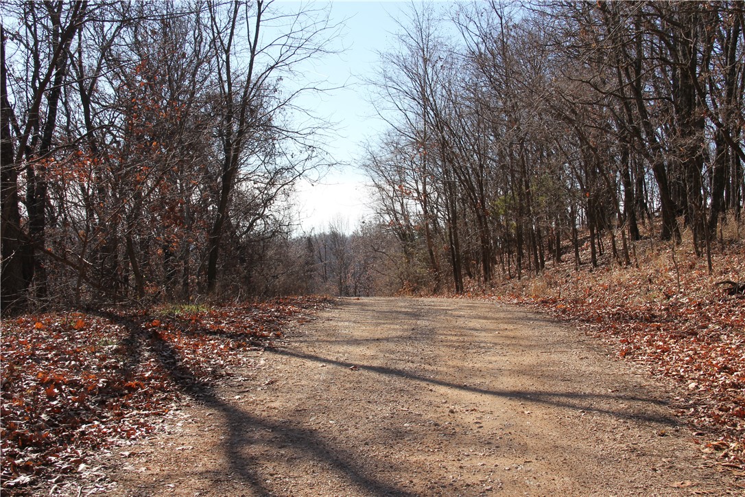 Cisco Hills - Land