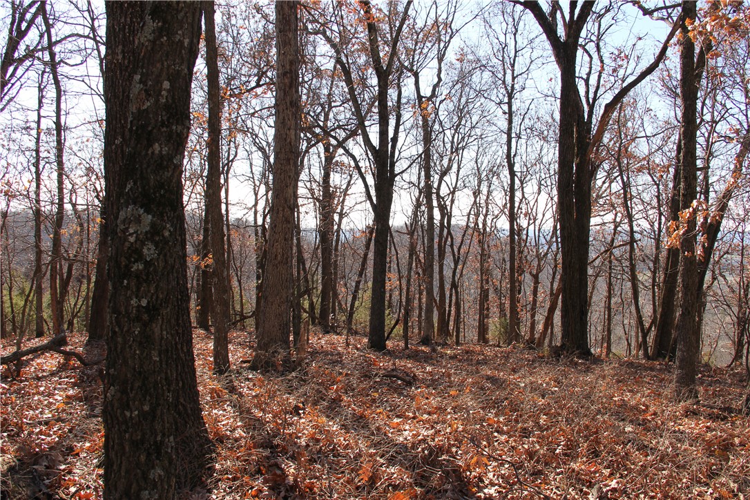 Cisco Hills - Land