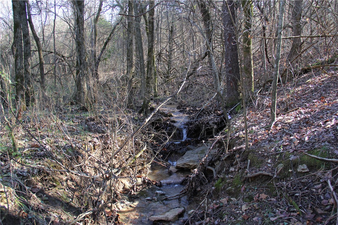 Cisco Hills - Land