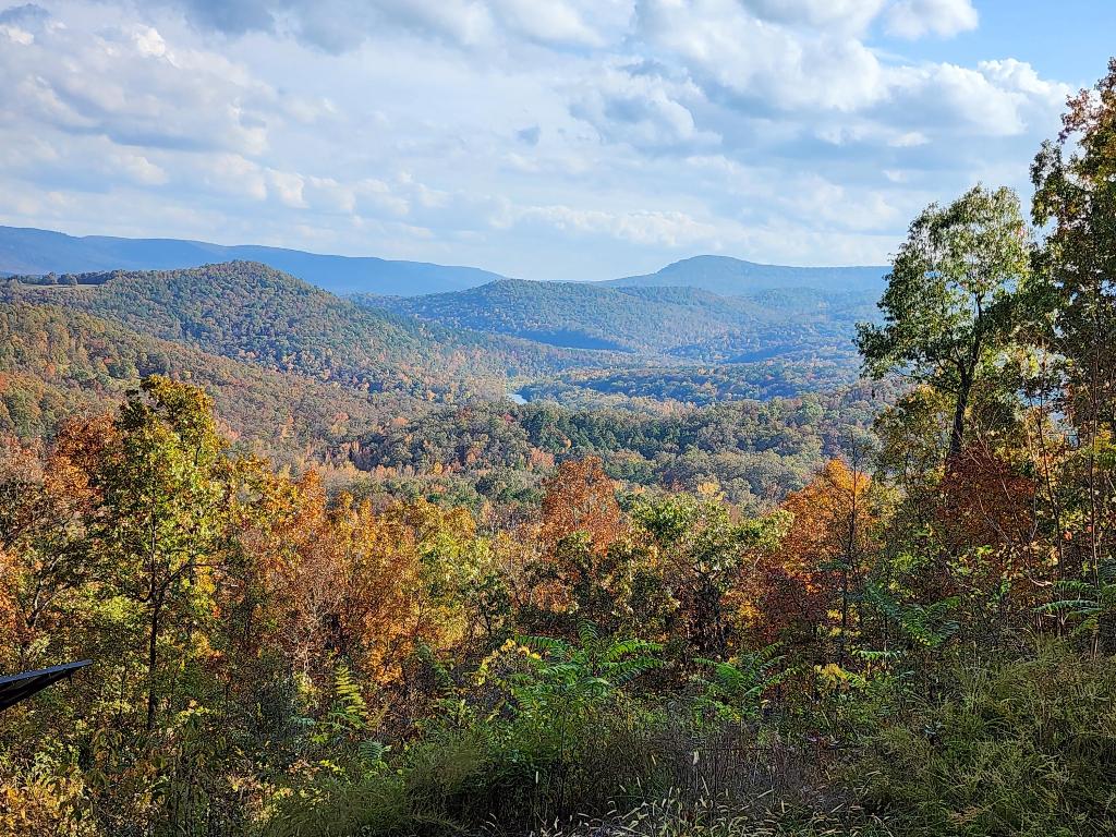 Look down upon the Buffalo National River and expansive Ozark Mountain views from this 13 ac parcel of land located within 10 min to the Buffalo National River near Mt. Hersey. Besides amazing views and the River below you, there's even a cave on this property. No neighbor in sight and miles of back country scenic roads to explore make this property a nature lovers dream!