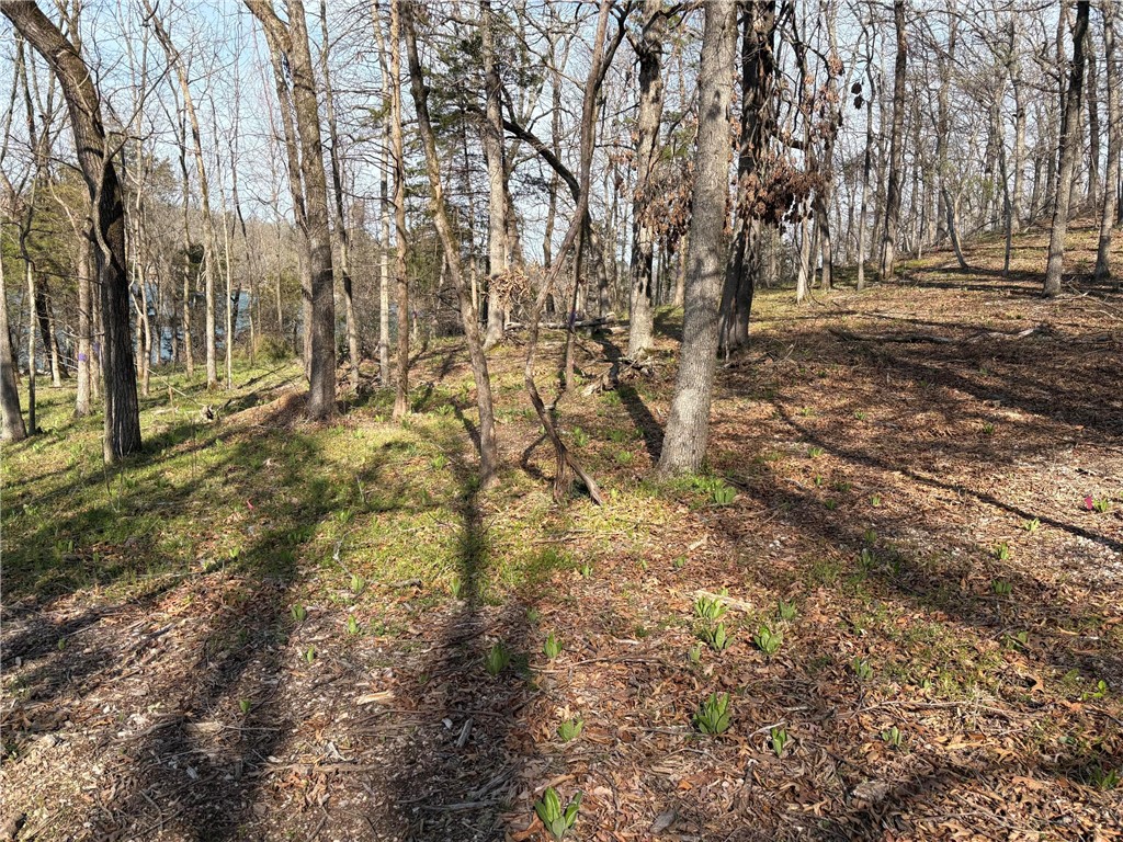 Horseshoe Bend Estate Rurban - Land