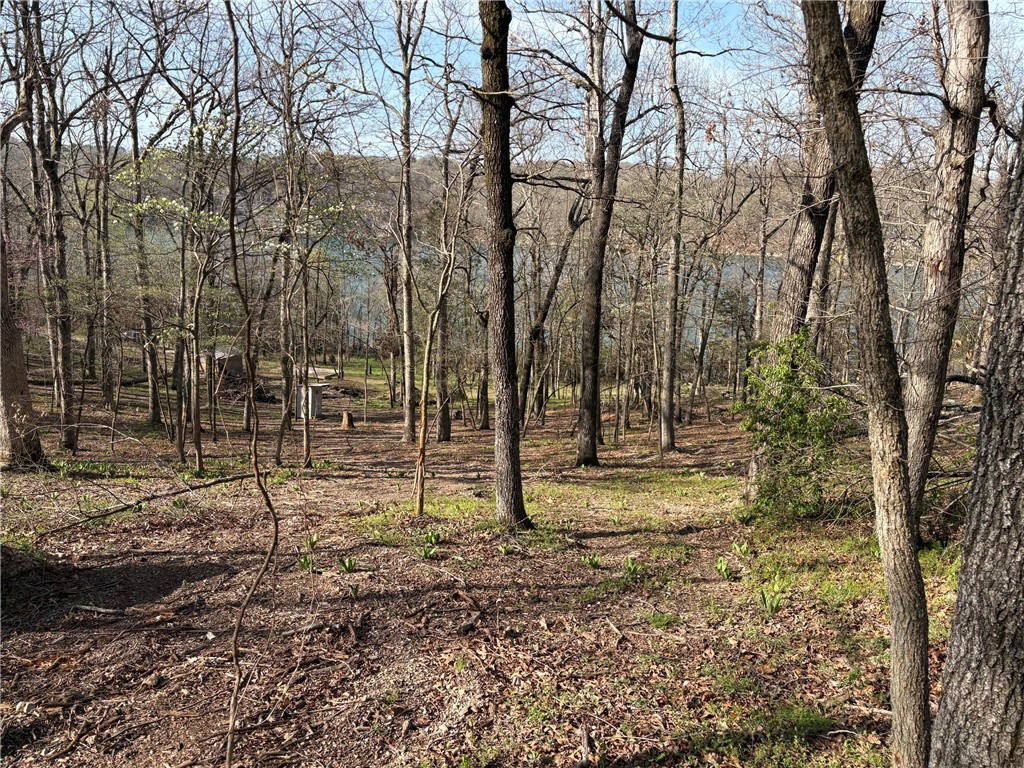 Horseshoe Bend Estate Rurban - Land