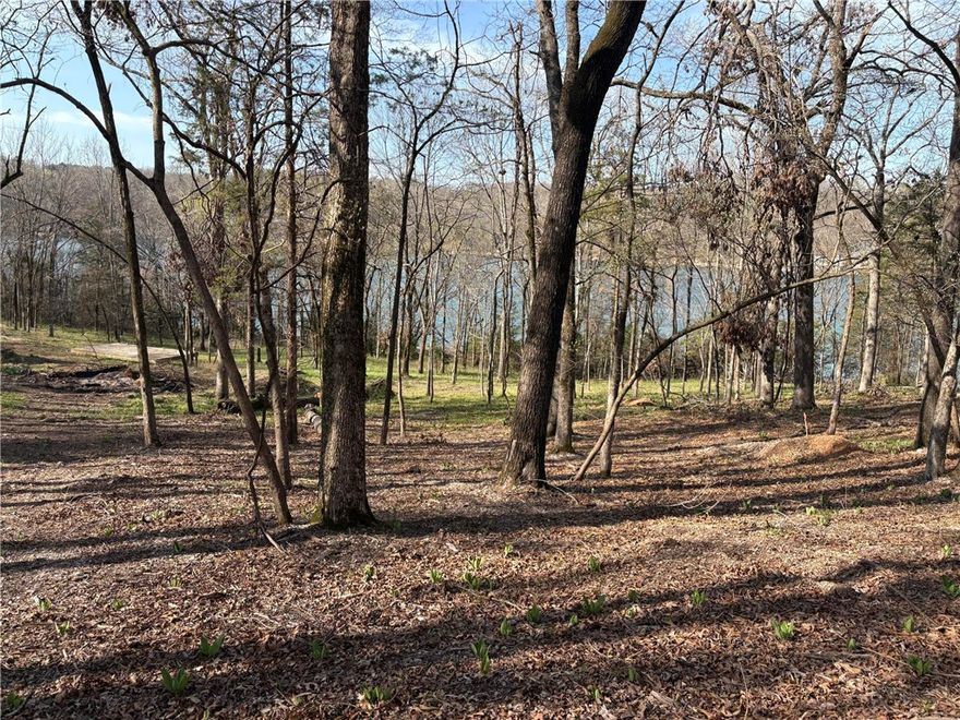 Prime Lakefront Lot with Stunning Views – Your Dream Retreat Awaits!
Nestled near the breathtaking Hobbs National Forest, this exceptional 0.71-acre lakefront lot offers the perfect blend of nature, recreation, and convenience. Located on Beaver Lake, outdoor enthusiasts will love easy access to biking trails, hiking paths, and all-day water enjoyment on the lake. Short drive to Historic downtown Rogers, shopping, restaurants, and breweries.
This gradually sloping lot is ideal for a walkout basement home, maximizing lake views from every level. With a perk test approved and a completed survey, your dream home is ready to take shape. Imagine waking up to serene water views, stepping outside to enjoy a peaceful morning kayak, or spending evenings by the shore with family and friends.
Don't miss this rare opportunity to own a piece of lakefront paradise—perfect for relaxation, adventure, and making lifelong memories! Other lots available.
Interested? Let’s make your waterfront dream a reality.