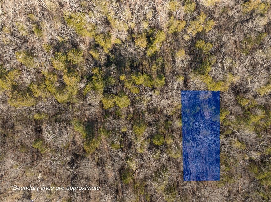 Lot located on a dirt road in Diamond City, conveniently situated near the golf course and Bull Shoals Lake. Offers a great opportunity for building or investment in a quiet setting. Buyer to verify utilities and  building requirements.