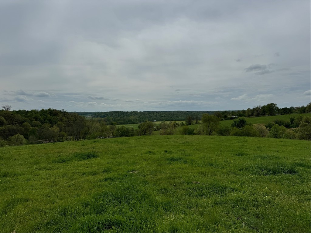 Prime pastureland ideal for livestock or the perfect site to build your dream home. Located just minutes from Northwest Arkansas National Airport (XNA), this beautiful 29.93-acre tract offers the best of country living with convenient access to town. SOLD BEFORE PRINT