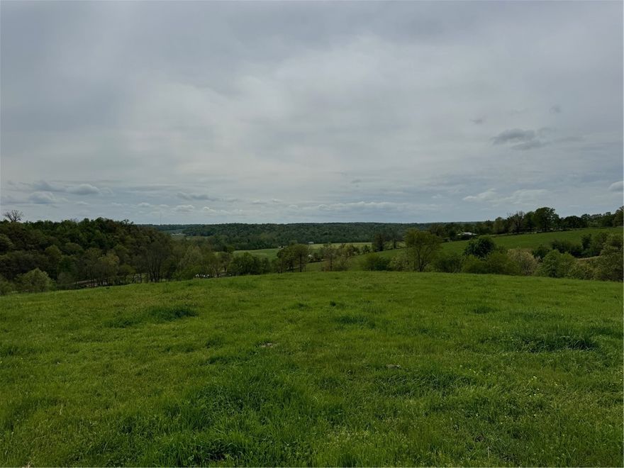 Prime pastureland ideal for livestock or the perfect site to build your dream home. Located just minutes from Northwest Arkansas National Airport (XNA), this beautiful 29.93-acre tract offers the best of country living with convenient access to town. SOLD BEFORE PRINT