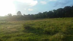 ONCE IN A LIFETIME OPPORTUNITY is here waiting on you. Here is 35.58 Acres m/l located on Hwy 247, Pottsville Schools, fenced. Can you imagine the possibilities? New subdivision, RV park, or just a nice sized piece of land to run cattle, horses or whatever livestock your heart desires, build your dream home. Let your imagination be your guide. MOTIVATED SELLER.