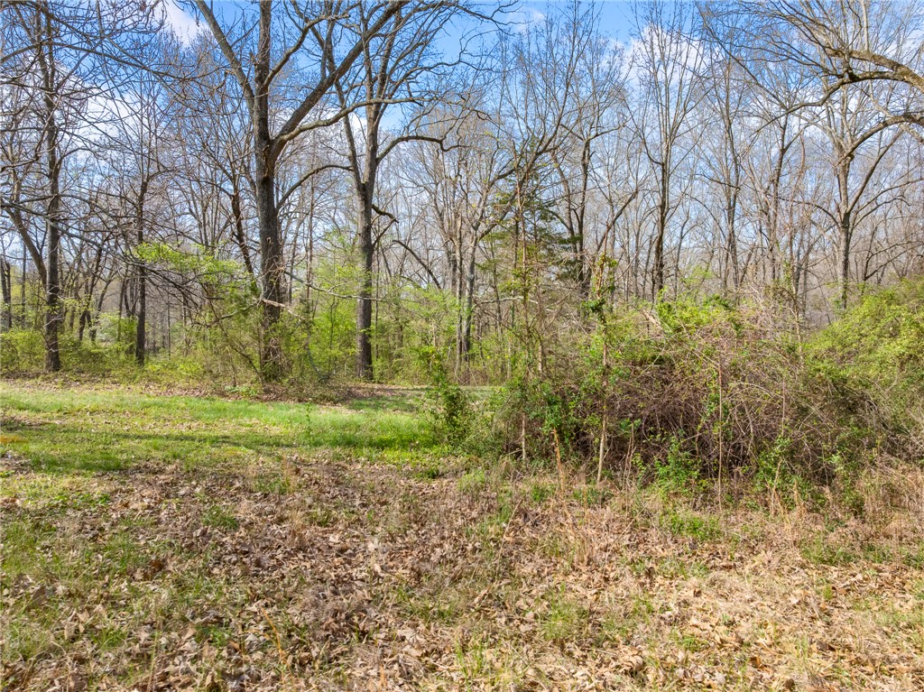 Meriwether Pond - Land