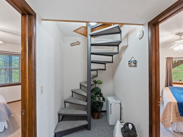 11804 Dogwood Drive
