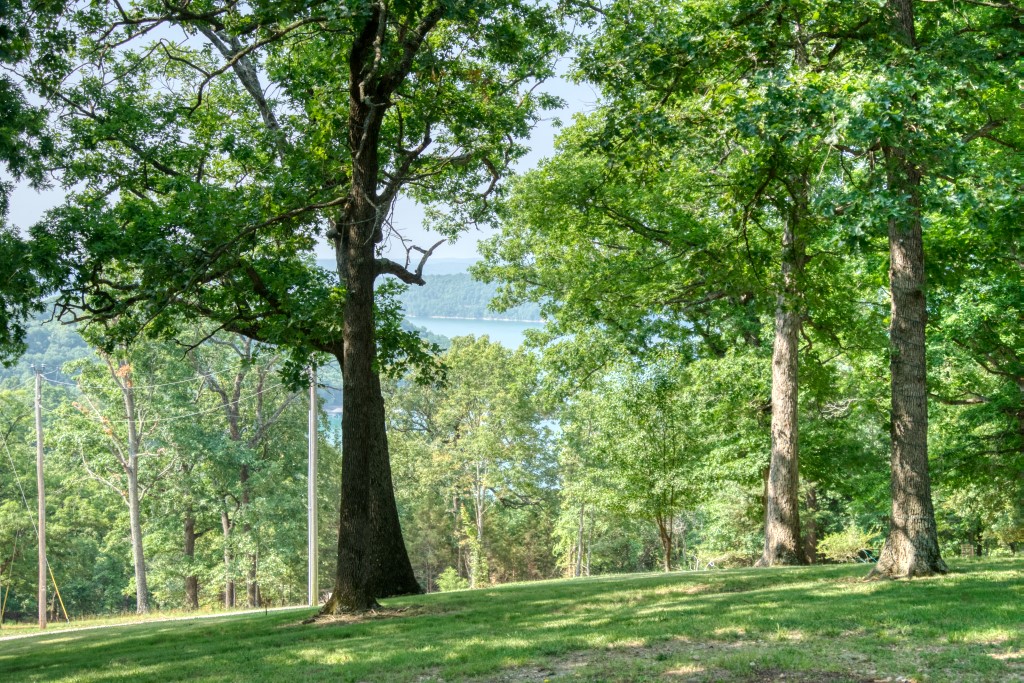 Point Mirage - Residential