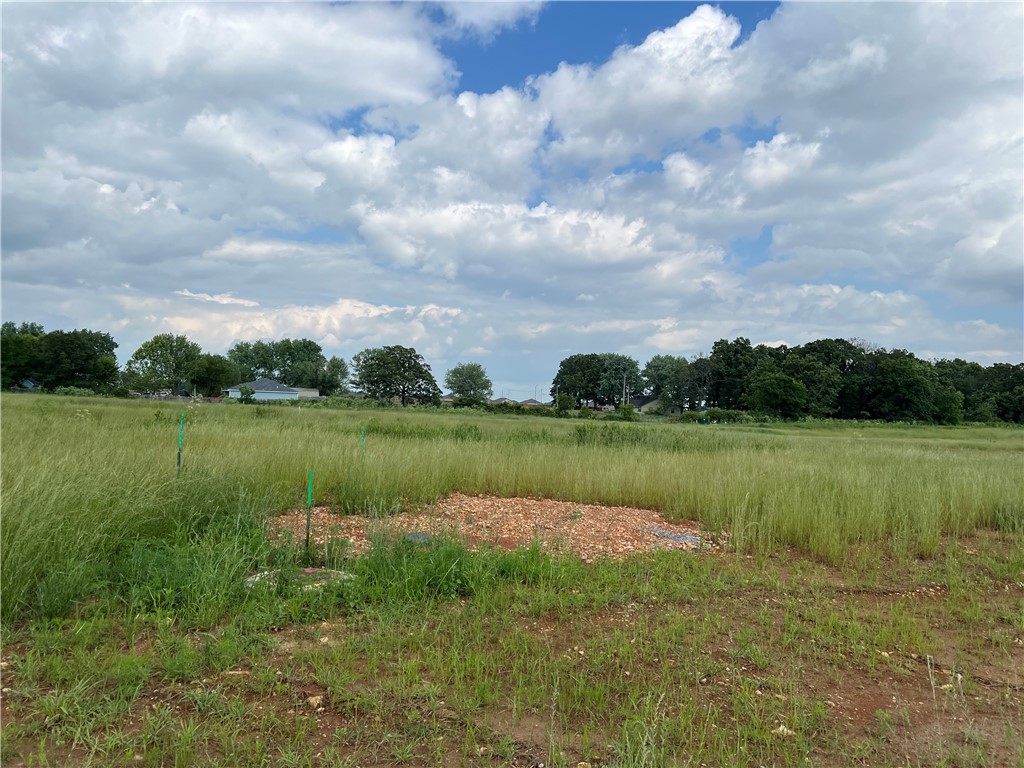 50 lot package in Castlewood subdivision