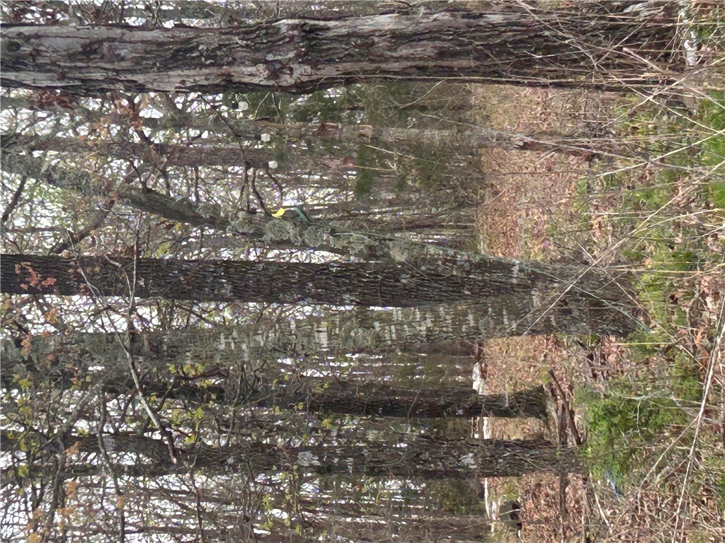 Big Sandy Informal Subdivision - Land