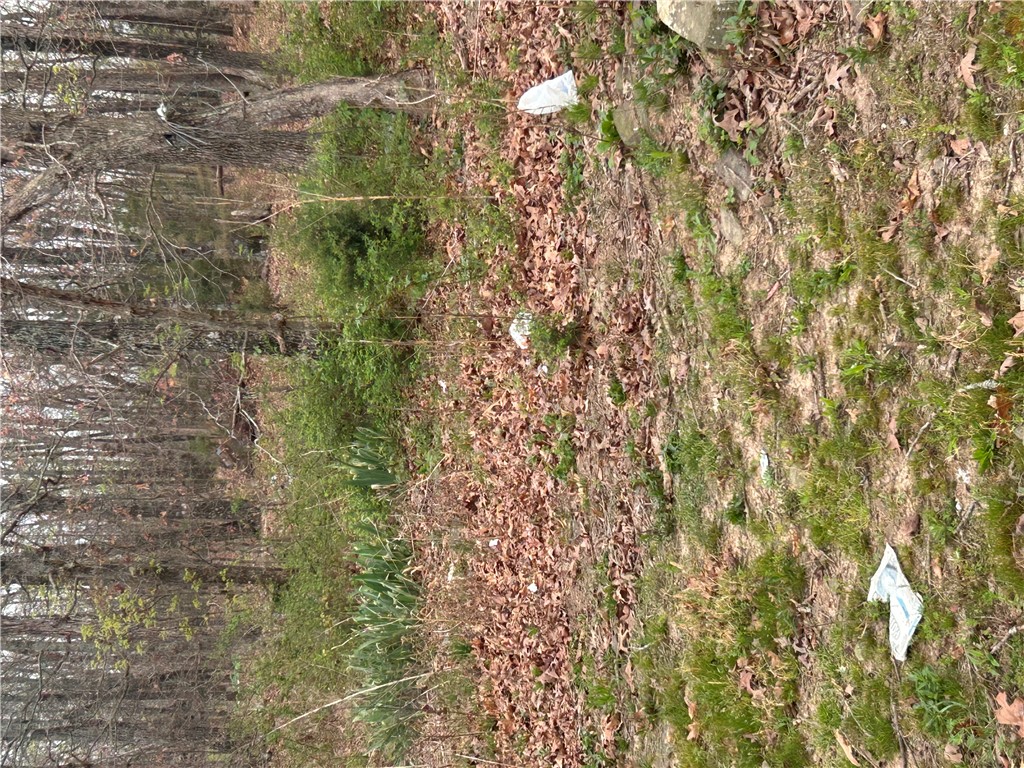 Big Sandy Informal Subdivision - Land