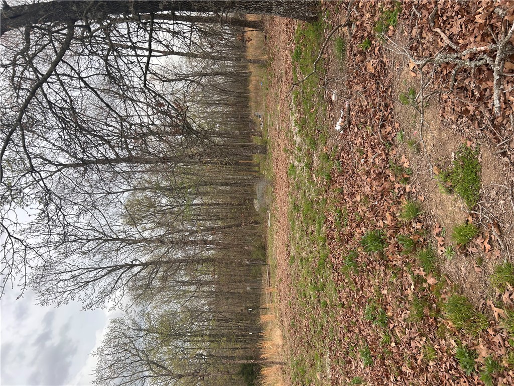 Big Sandy Informal Subdivision - Land