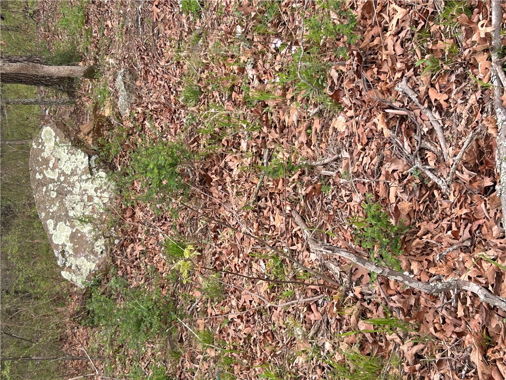 Big Sandy Informal Subdivision - Land