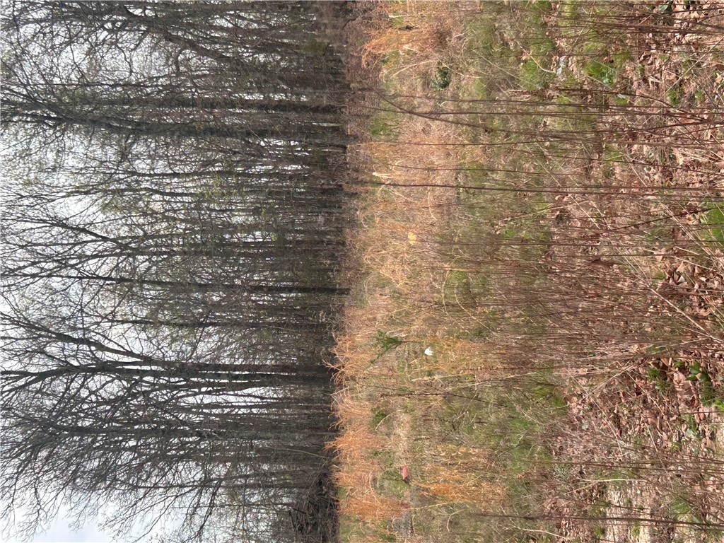 Big Sandy Informal Subdivision - Land